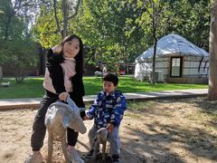 -九十九顶毡房(阜石路店)