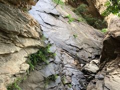 -云岫谷游猎自然风景区