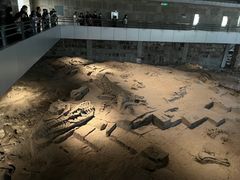 -自贡恐龙博物馆