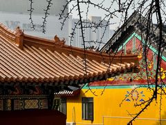 -宝通禅寺