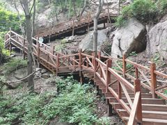 -大岭沟猕猴桃谷风景区