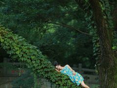 -上海共青森林公园