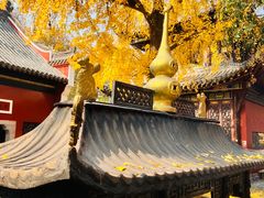 -长春观
