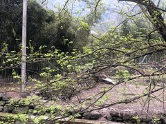 -东天目山风景区