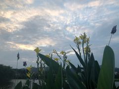 -浙江农林大学(东湖校区)