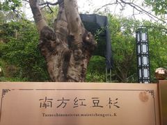 -广州神农草堂中医药博物馆