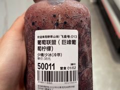 -野萃山·潮汕厚果汁(十亩地店)