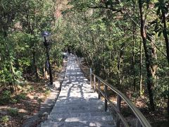 -野狸岛