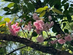 -昆山城市生态森林公园