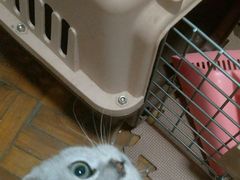 -联合动物医院(光谷诊疗中心)