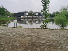 -白鹭湾湿地公园