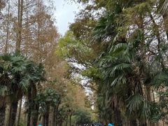 -上海海湾国家森林公园