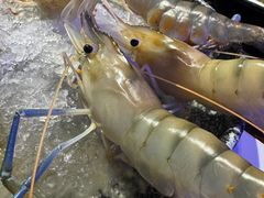 -琥珀川糟粕醋火锅(慈云寺店)