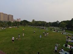 -宝安西湾红树林湿地公园