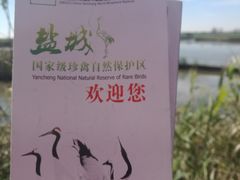 -盐城丹顶鹤湿地生态旅游区
