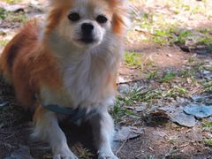 -长白岛森林公园