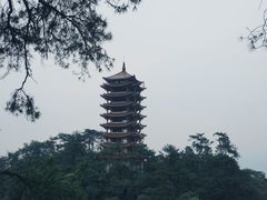 -缙云山景区