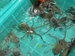 android_upload_pic-渔傅·蓝海岸霞浦海鲜(正祥店)