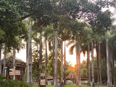 -南宁花花大世界景区