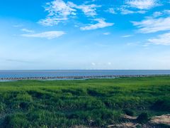 -南汇嘴观海公园