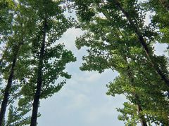 -野鸭湖国家湿地公园