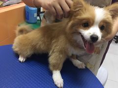 -惠康宠物医院(华能路店)