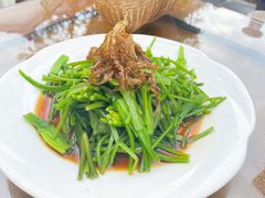 菌香水性杨花-尽善百年古院餐厅(王家老宅店)
