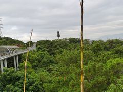 -仙岳公园