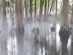 -东湖落雁景区