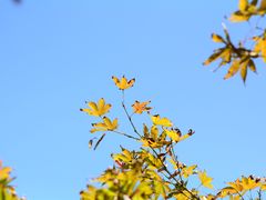 -宜兴龙背山森林公园