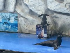 -泉州海丝野生动物世界