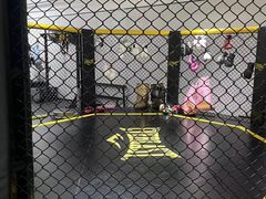 -FLARE STAR FITNESS(复地活力城店)