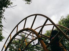 -上海滨江森林公园