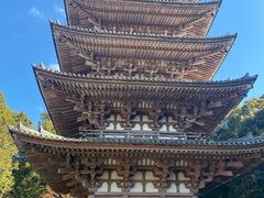 -醍醐寺