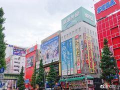 -秋叶原电器街