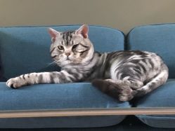 -幸运7纹身刺青Lucky7tattoo