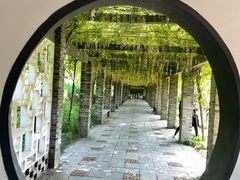 -龙寺生态园