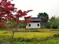 -董永七仙女文化园
