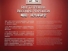 -遇见博物馆(遇见海洋沉浸式奇幻光影展)