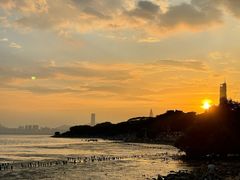 -深圳湾公园(南山区)