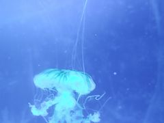 -临沂极地海洋王国
