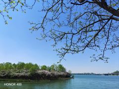-丁香湖公园