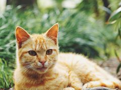 -苏州河梦清园环保主题公园