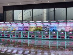 -砂之船奥莱(南京江宁店)