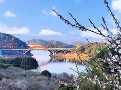 -广州市流溪河国家森林公园