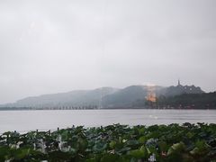 -湖畔居茶楼(湖滨店)