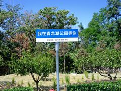 -青龙湖公园