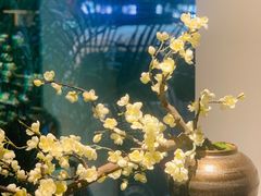 -梅花境(万科店)