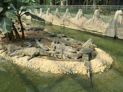 android_upload_pic-西安秦岭野生动物园