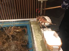 -蟹将军·松叶蟹和牛日料放题自助(K11店)
